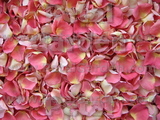 Guava Freeze Dried Rose Petals