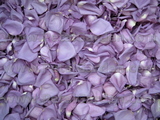 Lavender Freeze Dried Rose Petals