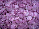 Purple Freeze Dried Rose Petals