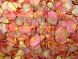 Sherbet Freeze Dried Rose Petals