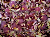 Sunburst Freeze Dried Petals