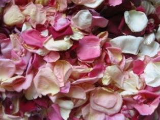 Freeze Dried Rose Petals - Pathway