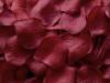 burgundy rose petals