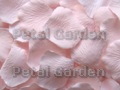Carnation Silk Rose Petals